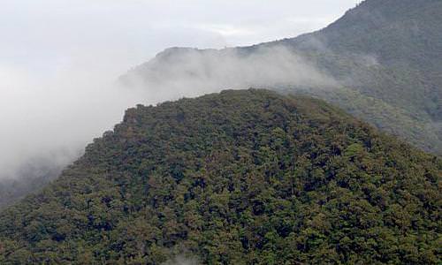 Otras fotografas ecosistemas